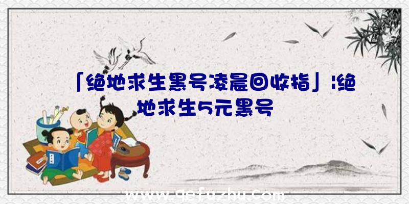 「绝地求生黑号凌晨回收指」|绝地求生5元黑号